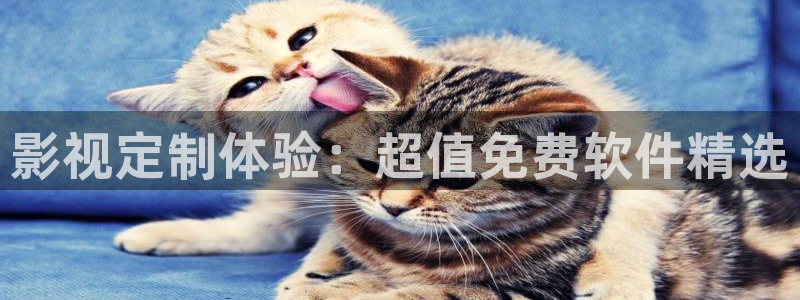 超碰2020：影视定制体验：超值免费软件精选