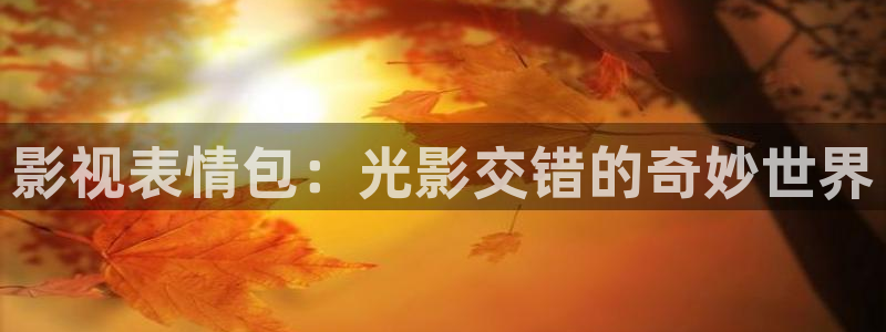 超碰久羞羞答答：影视表情包：光影交错的奇妙世界