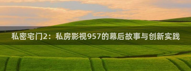 体内射精超碰在线播放：私密宅门2：私房影视957的幕后故事与创新实践