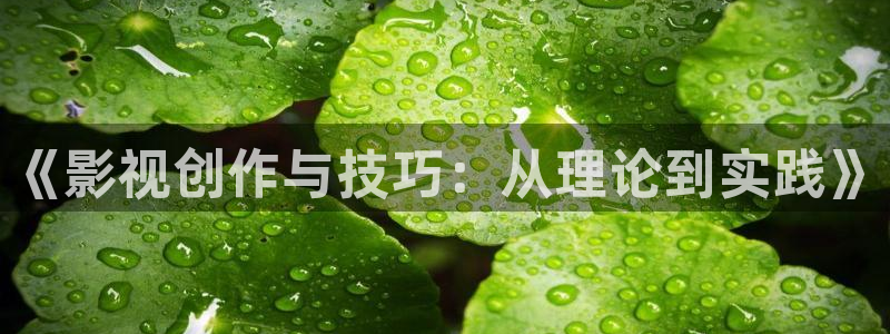97超碰啪啪啪：《影视创作与技巧：从理论到实践》