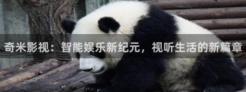 超碰在线影视：奇米影视：智能娱乐新纪元，视听生活的新篇章