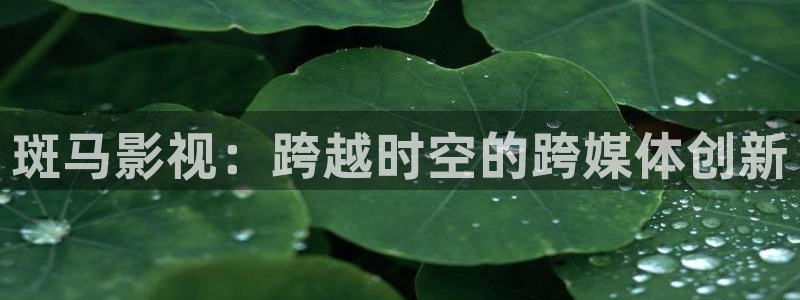 97超碰人人艹